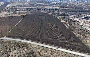 Teren agricol 50 ari, amplasat la traseul Ialoveni Băcioi