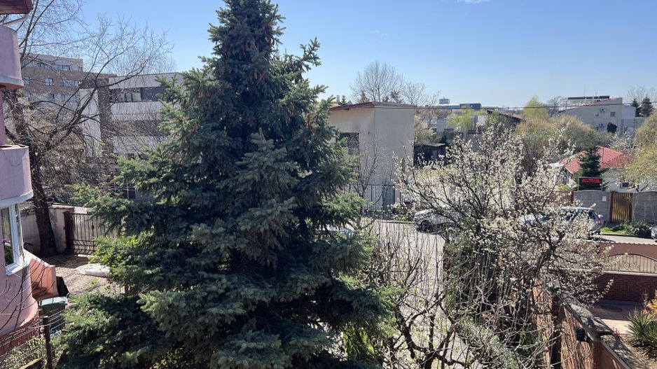 Vila superba Baneasa - Dobrogeanu Gherea - Poză 22