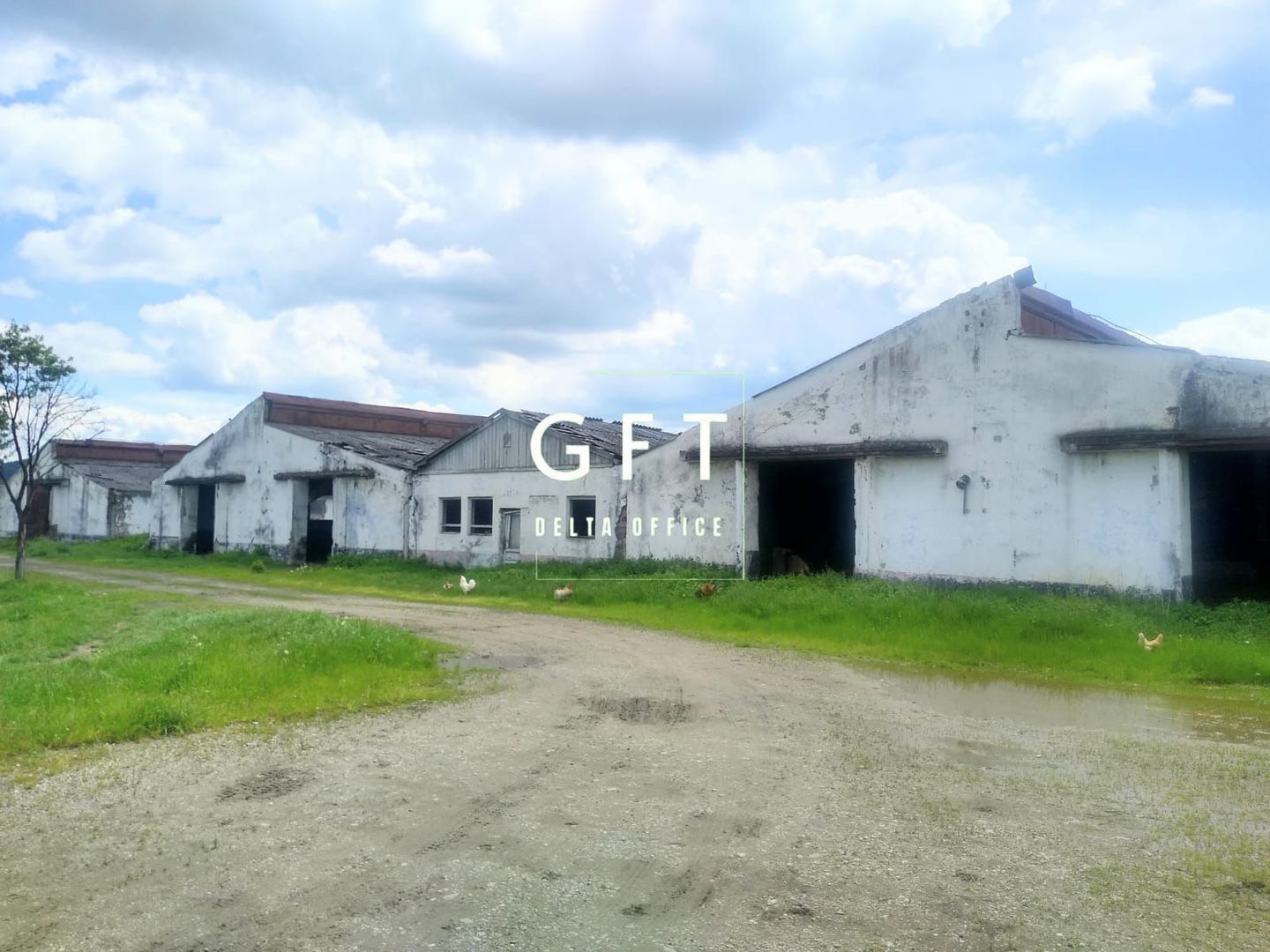 Hale de vanzare, Bistrita Nasaud, Sieu Odorhei - Poză 1