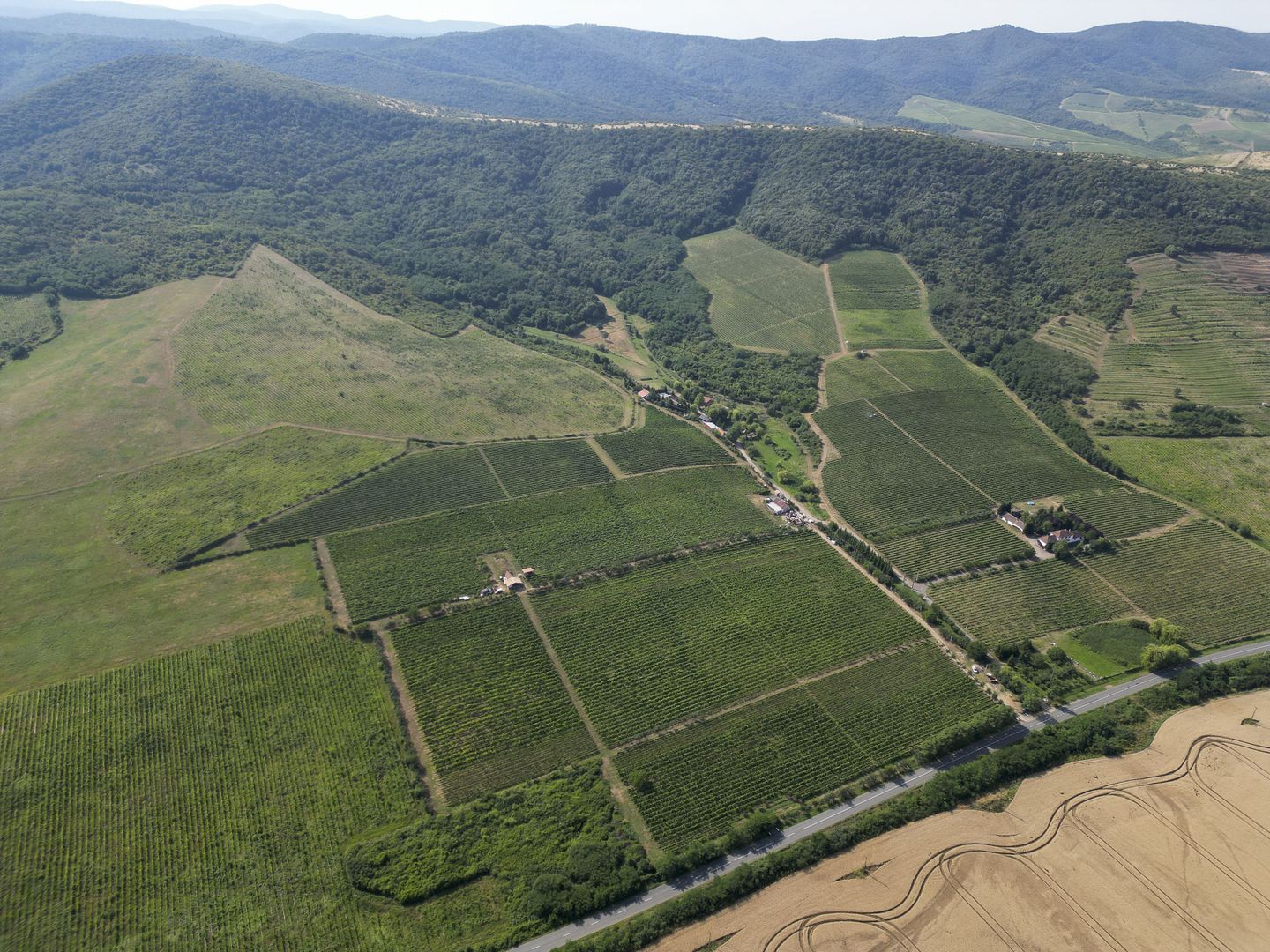 Vie Tradițională „Halta Lupilor” - Poză 34