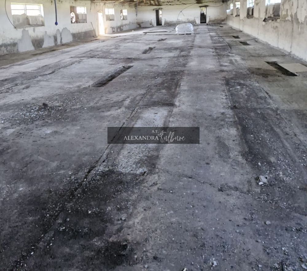 Teren 43884 mp intravilan, 4 hale 6000 mp, nod autostrada, Bogata - Poză 6