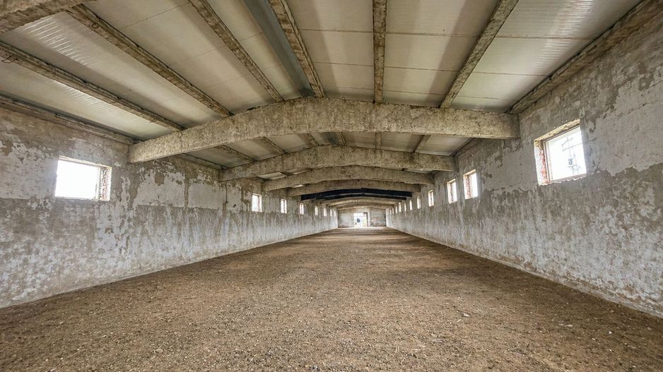 Hala Industrială / Agricolă | 800 MP Construcție + 800 MP Teren | - Poză 2