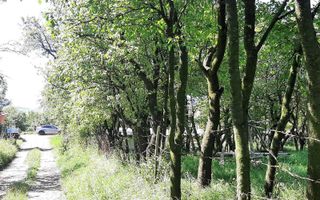 Casă si teren de vanzare in Rediu - Poză 4