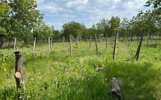 Vânzare, casă,115 mp + 18 ari, sat Corlăteni, Rîșcani - Poză 18