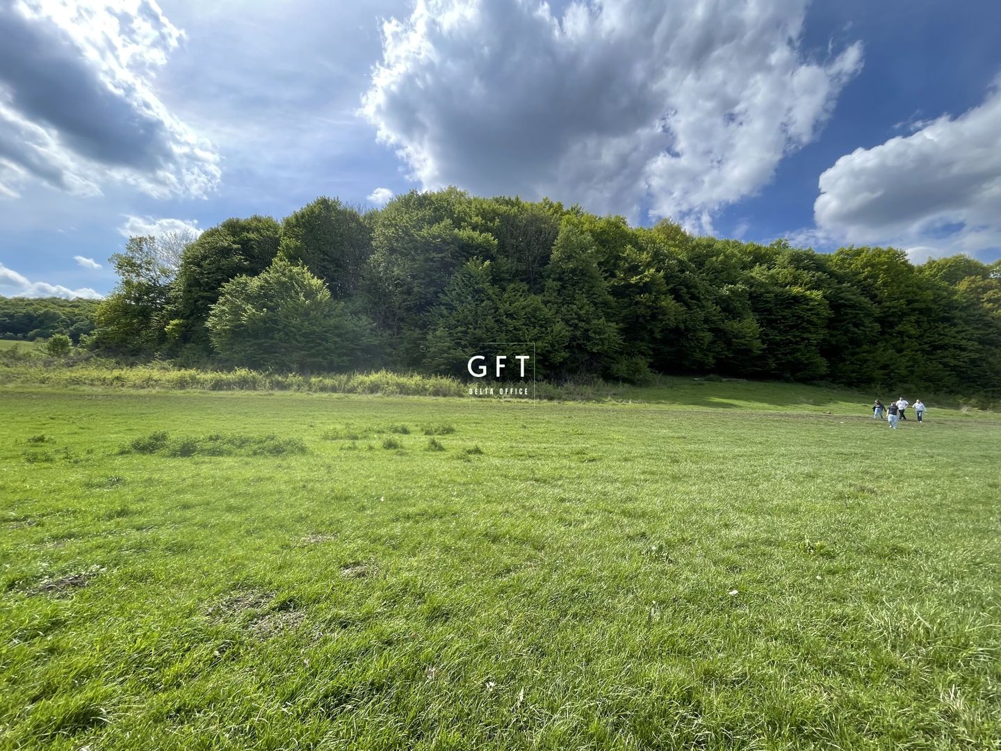 Teren extravilan 10000 mp, Jelna. - Poză 6