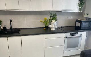 Apartament 2 camere de inchiriat, Visan, mobilat si utilat complet, 38 mp - Poză 1