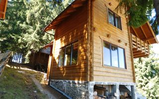 Casă de vacanta de vanzare, in Marisel, langa Cabana Motilor - Poză 4