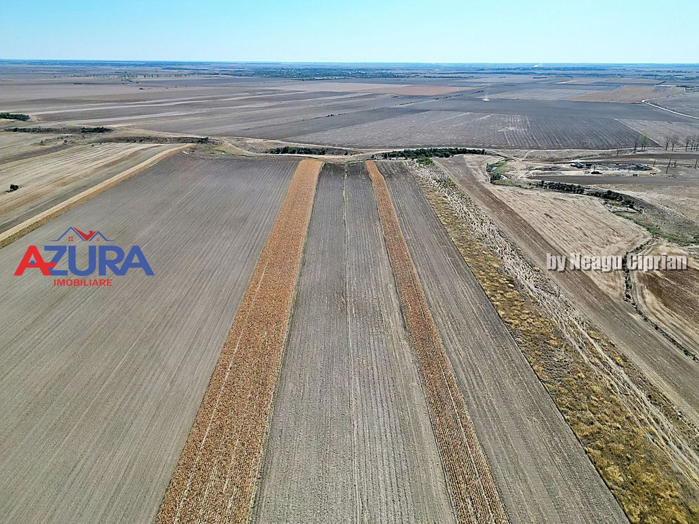 Teren agricol, 5HA, comasat, drum acces, Cateasca - Poză 2