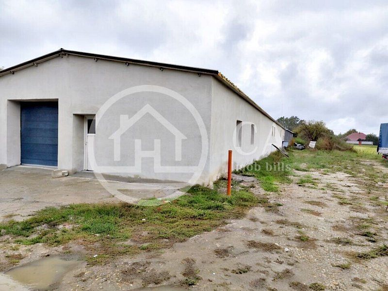 Hala de inchiriat, situata in Santaul Mic, Bihor - Poză 10