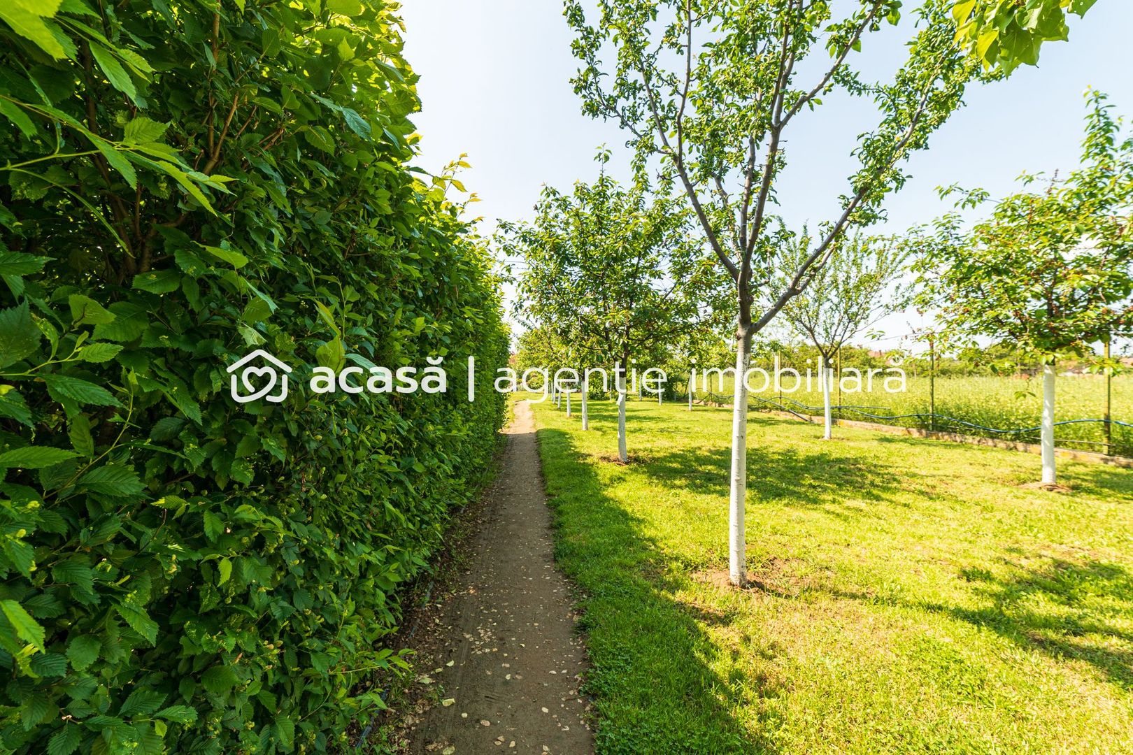 Nou! Casă frumoasă în Sâmbăteni - Poză 23