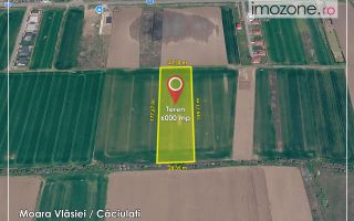 6000 mp, Caciulati - Balotesti, ideal pentru a dezvolta un ansamblu rezidential - Poză 2