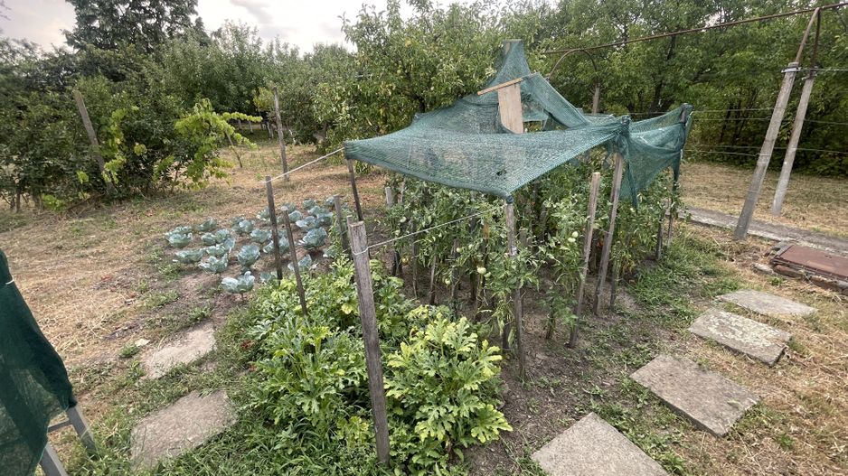 Casa | 9 camere | Garaj | Piscina | Teren 3.000 mp | Comision 0% - Poză 46