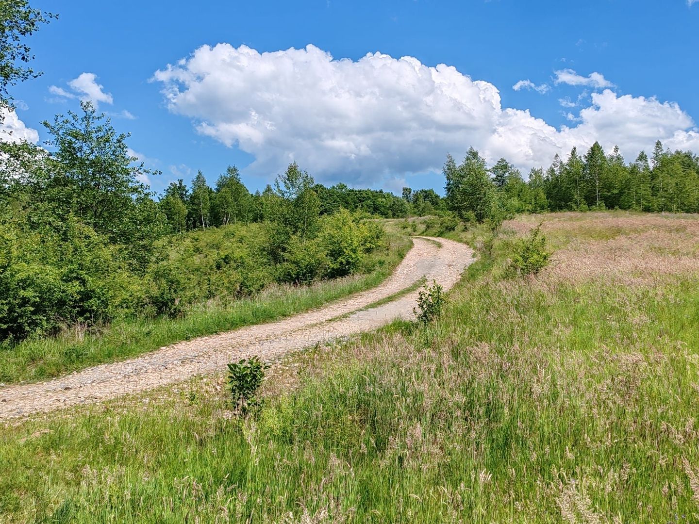 2,6 HA TEREN EXTRAVILAN FANEATA, in Muntii Apuseni, Negreni, jud. Cluj - Poză 4