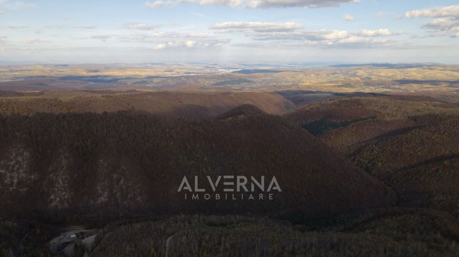 OPORTUNITATE | Teren intravilan | 34.625 mp | Plopi - Valea Ierii - Poză 5