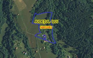 COMISION 0 20.000 MP TEREN EXTRAVILAN CU PADURE ZONA TURISTICA VISAGU VLADEASA - Poză 6