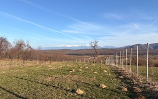 Teren intravilan 809 mp de vânzare – Tropinii Noi-Sibiu - Poză 5