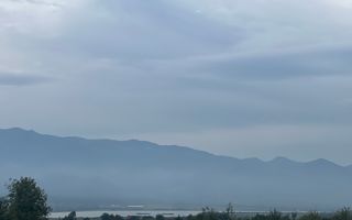 Teren | 1.500 MPU | Bradu - Poză 2