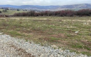 Teren intravilan | 500 MP | Daia - Poză 3