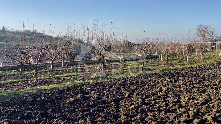 🔥 Teren intravilan 650 mp | Târgu Mureș | 50.000€ | Construibil - Poză 8