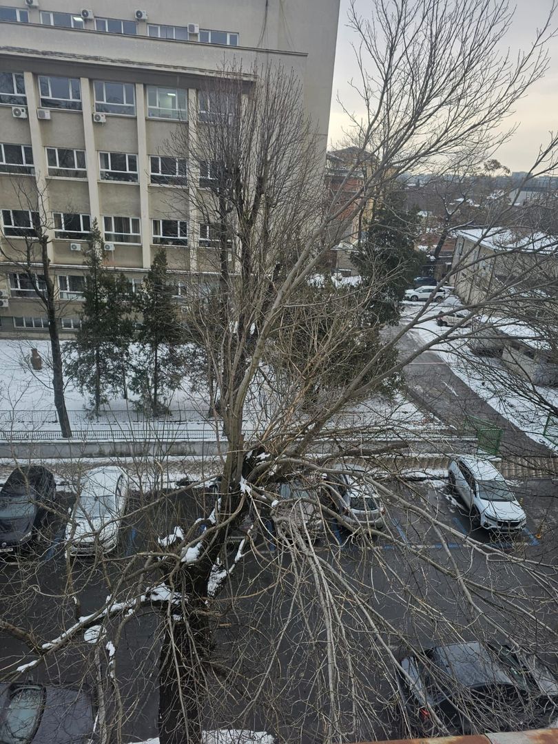 Vilă interbelică de vânzare – Cotroceni - Poză 18