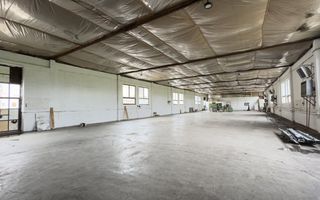 Inchiriere Clădire Producție, Depozitare, Birouri-Teren 3140 mp - Carei - Poză 4