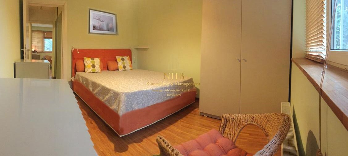 2 camere, Aviator Popisteanu, Agronomia, Domenii - Poză 3