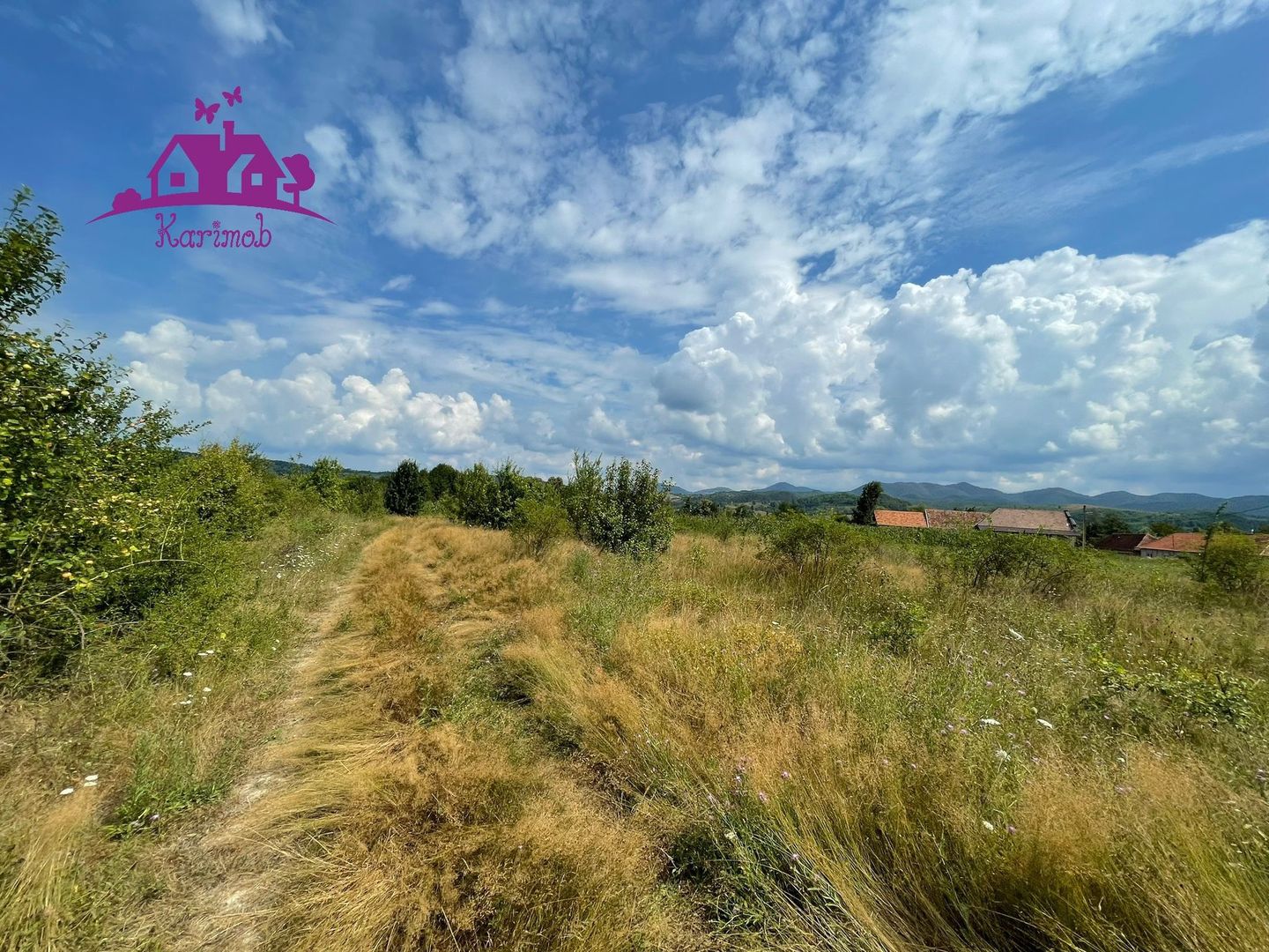 Teren de vanzare in Meziad. - Poză 7