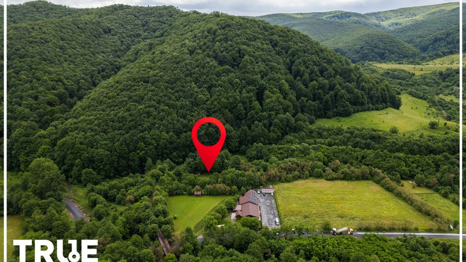 Teren intravilan 2.800 m² în Câmpu Cetății – liniște și natură - Poză 9