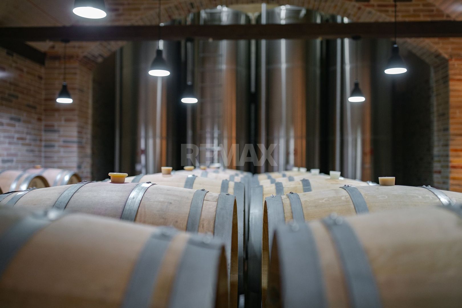 Complex Vitivinicol de Referință în Sudul Moldovei | 206 ha teren agricol | Investiție strategică - Poză 4