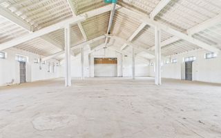 Hale 1800 mp fiecare – acces autostradă, Teiu, HD - Poză 1