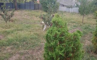 Teren intravilan de vânzare - 6200mp, pădure în apropiere - Poză 5