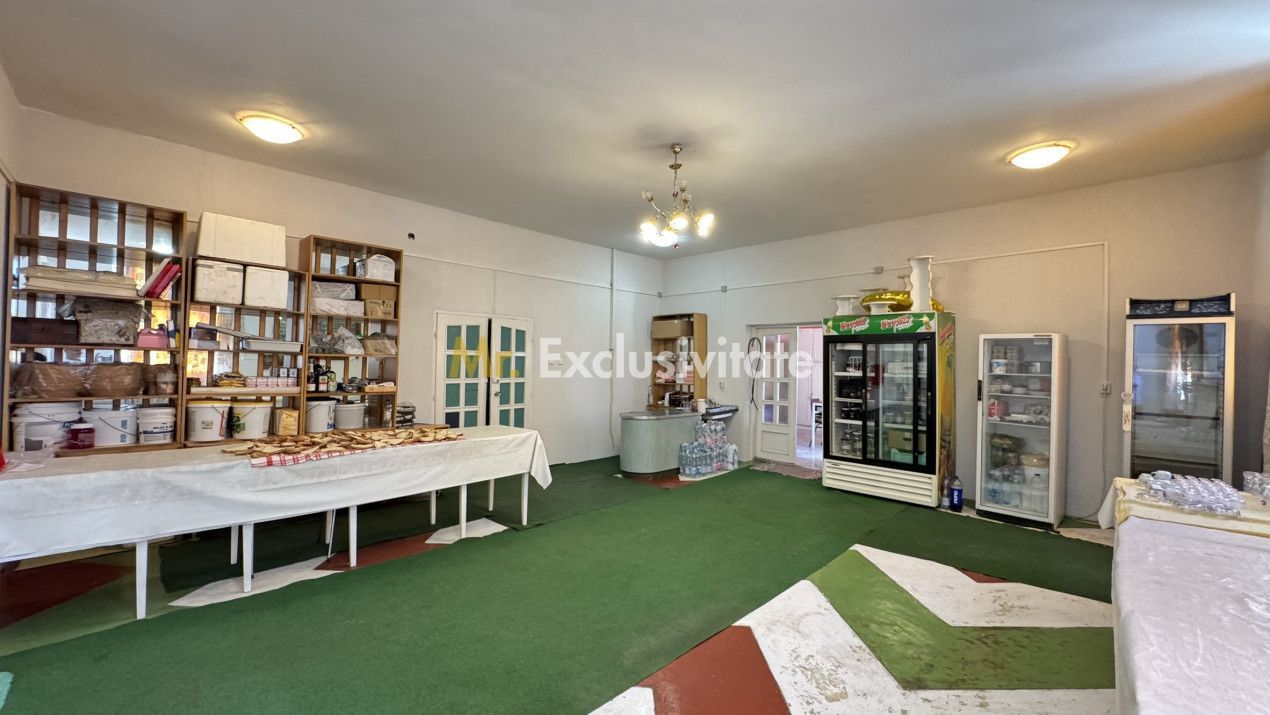 Spații de Inchiriat - Proprietate cu funcțiuni mixte – Str. Căplenilor Carei - Poză 18