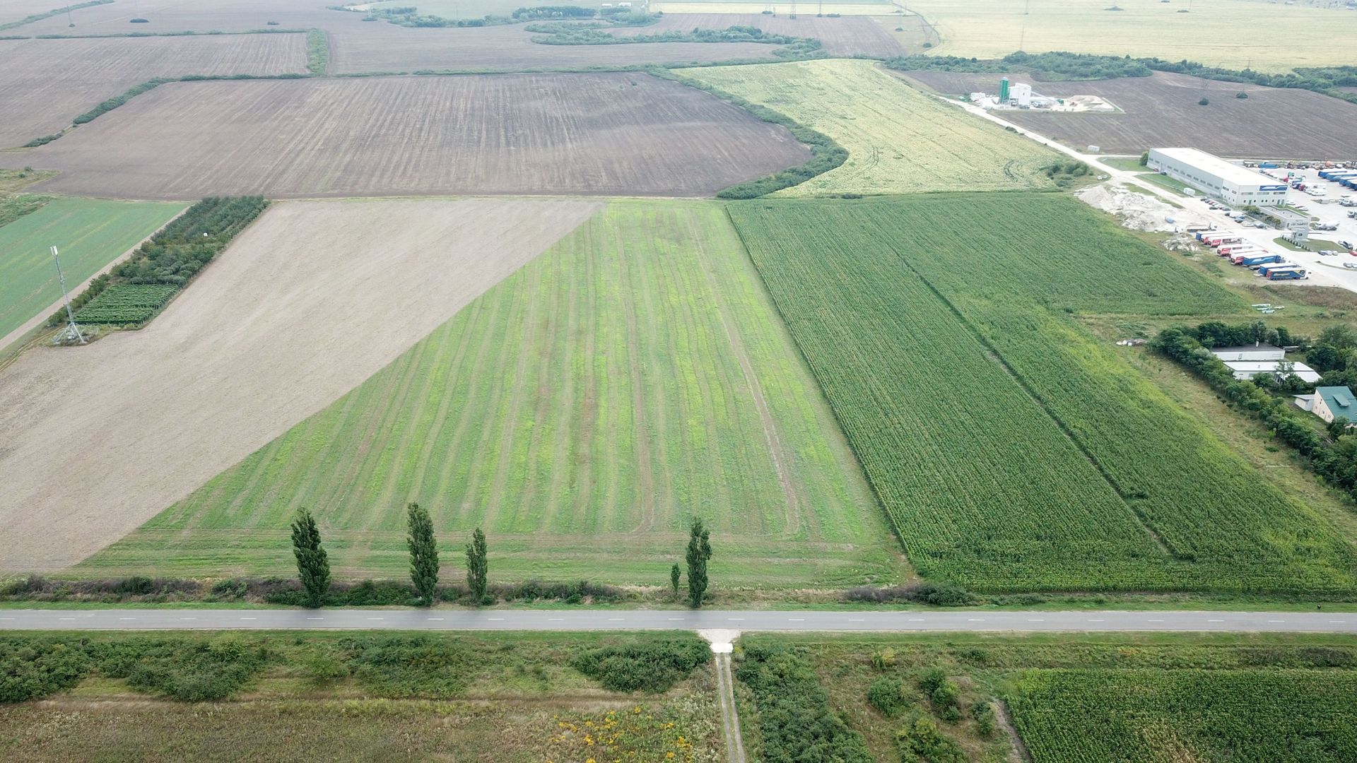 Terenuri  PUZ destinatie industriala 12.900 mp Centura de N - Poză 3