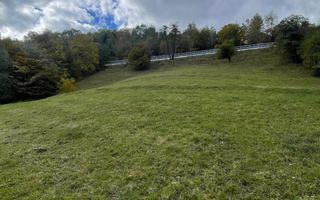 Teren extravilan cu priveliste catre Bucegi – Moieciu de Jos 4.700 mp - Poză 7