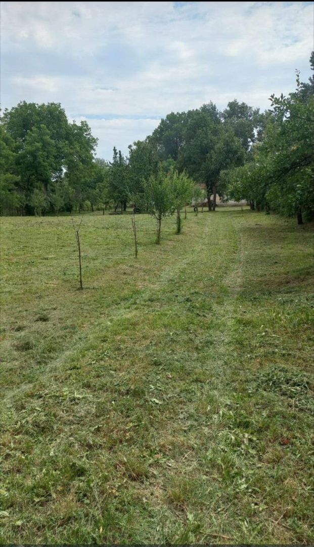 Teren 36 Ari intravilan Zona Strandului - Poză 2