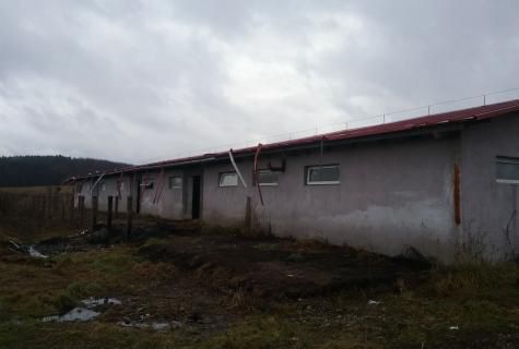 spațiu industrial Sacalaseni judet Maramures - Poză 3