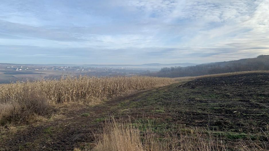 Teren intravilan de vânzare | Cajvana | 7.800 mp - Poză 6