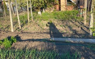 Casă 250 mp, teren 1.050 mp, Vulturi, la 8 km de Copou - Poză 4
