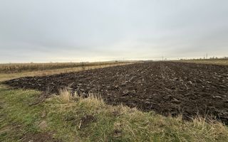 Parcela teren agricol 50 Ari - Poză 10