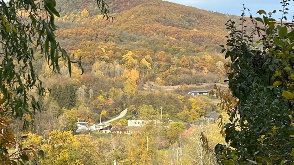 Spre vanzare cabana+ teren intravilan 1050mp-zona Pausesti Maglasi - Poză 8
