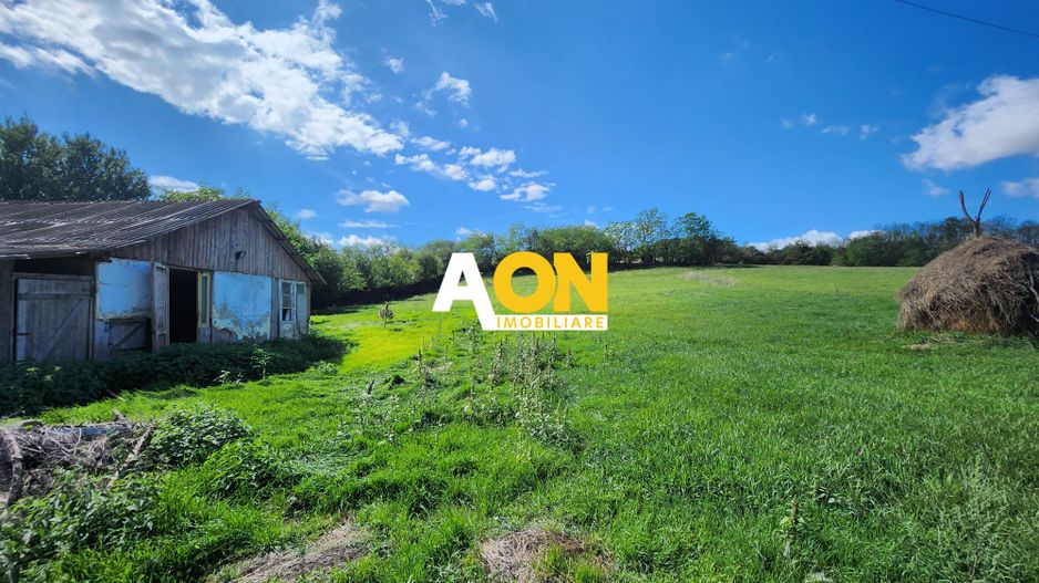 De vanzare 2965 mp teren intravilan, toate utilitatile, Oarda de Sus - Poză 1