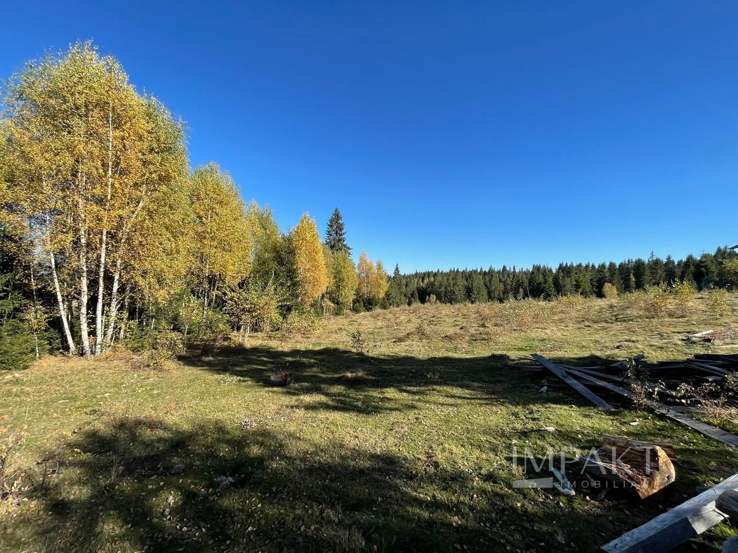 Teren intravilan de 2001 mp în Calatele Padure, comuna Calatele! - Poză 2