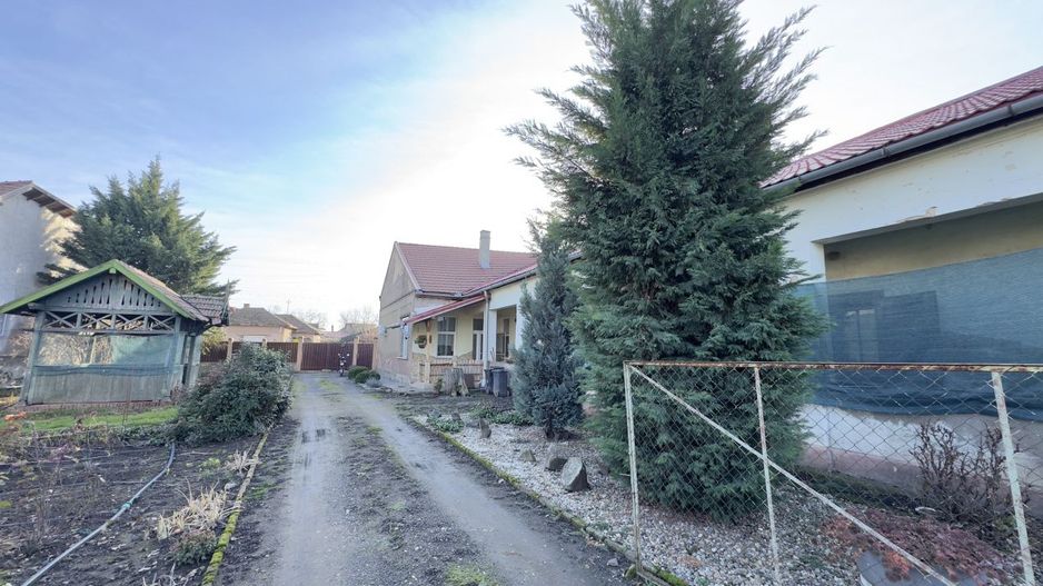 Casă 4 camere cu Teren 2.974 mp | Rezidență sau afacere | Carei - Poză 12