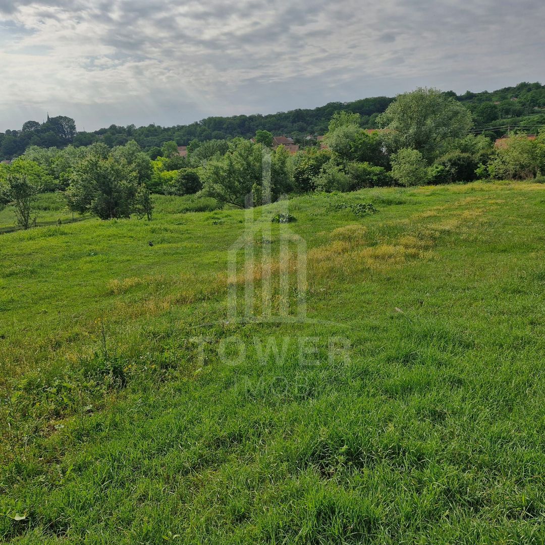 De vânzare Teren versatil 3.919 mp  in localitatea Armeni. Sibiu - Poză 3