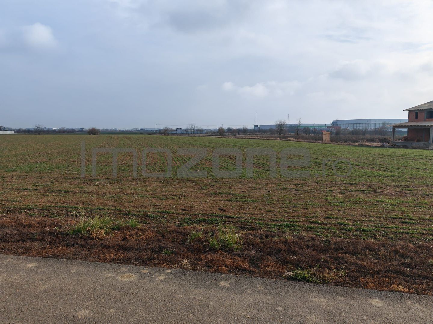 Dragomiresti Valea - Langa Centura, teren 15.600 mp, 35E/mp - Poză 6