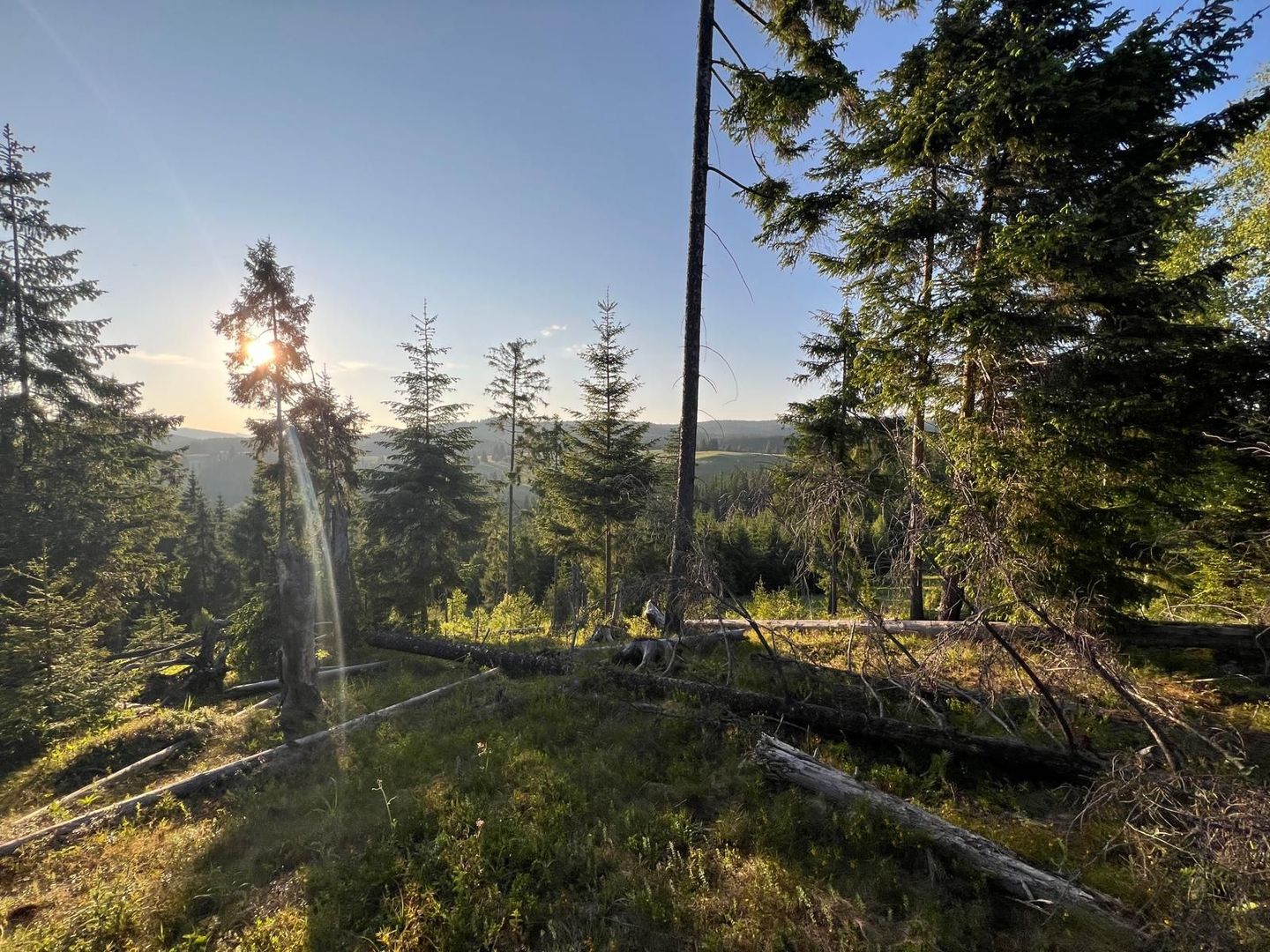 50 hectare teren | Moldova-Sulita | Potential turistic si agricol - Poză 12