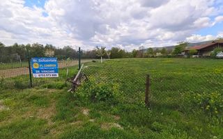 Teren mixt de vânzare Crasna Gorj, aproape de Rânca– 19.209 mp - Poză 1