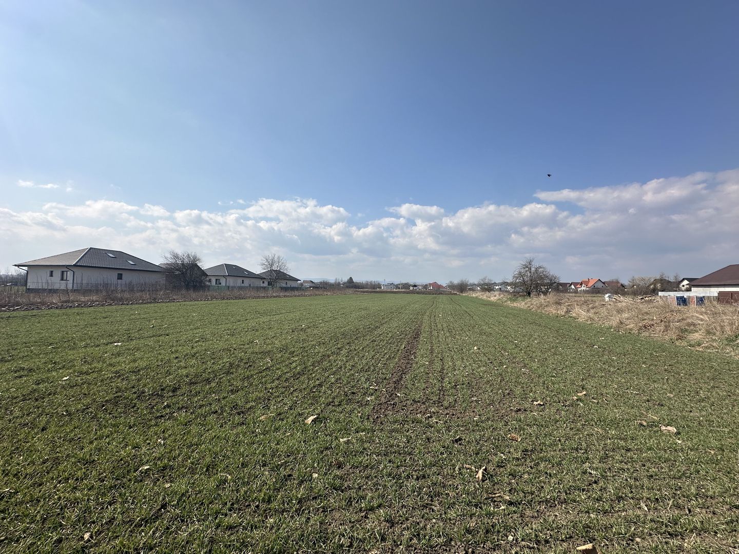 Teren intravilan 20 ari | Rădăuți | Front stradal 19.49 m - Poză 3