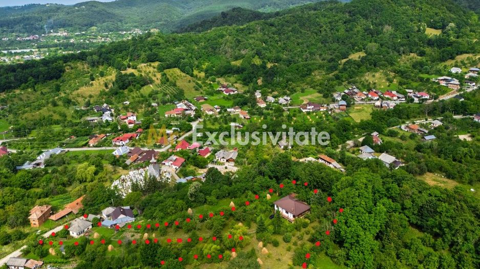 Casa moderna si casa bunicii + 6300 mp teren,Oaza autentica in Corbi Arges- - Poză 2