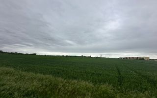 TEREN INDUSTRIAL/LOGISTIC 1/5 HECTARE – OTOPENI – DN1 – AEROPORT - Poză 1